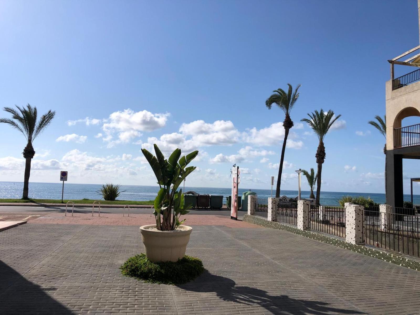 Regata Playa Apartman Orpesa Kültér fotó