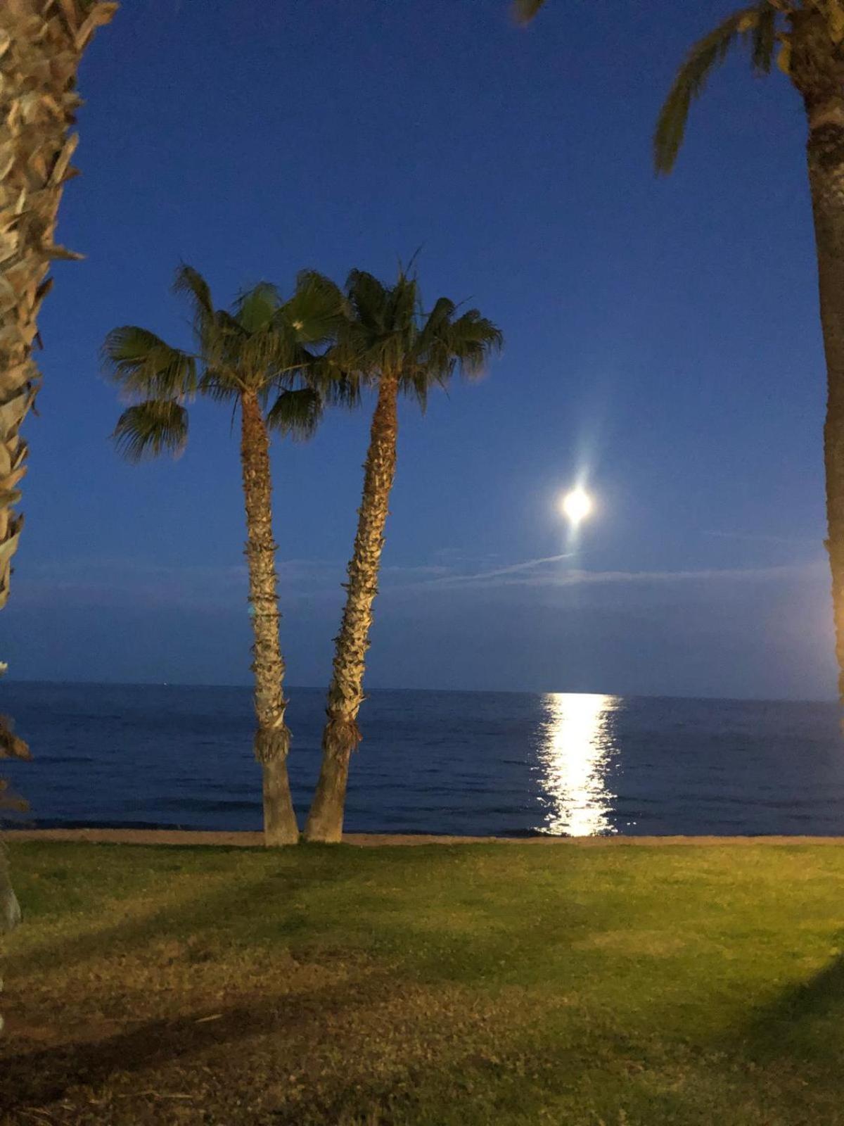 Regata Playa Apartman Orpesa Kültér fotó