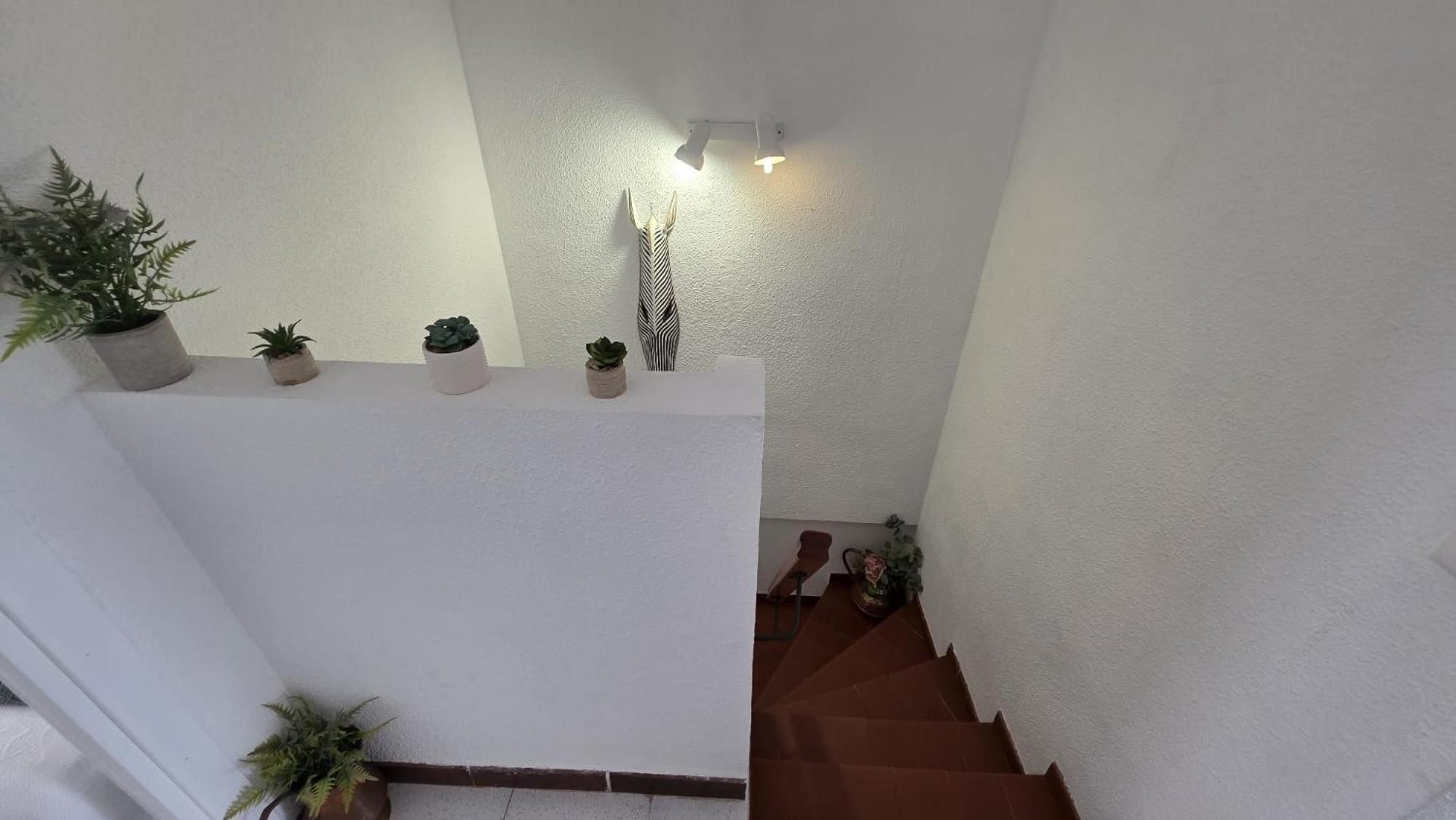 Regata Playa Apartman Orpesa Kültér fotó